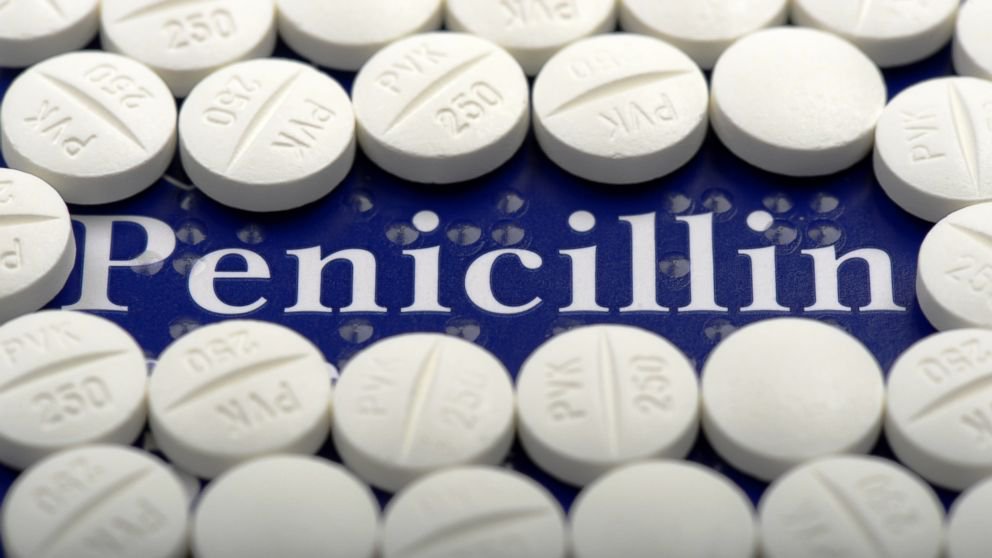 6 điều cần biết về thuốc kháng sinh penicillin - Ảnh 1.