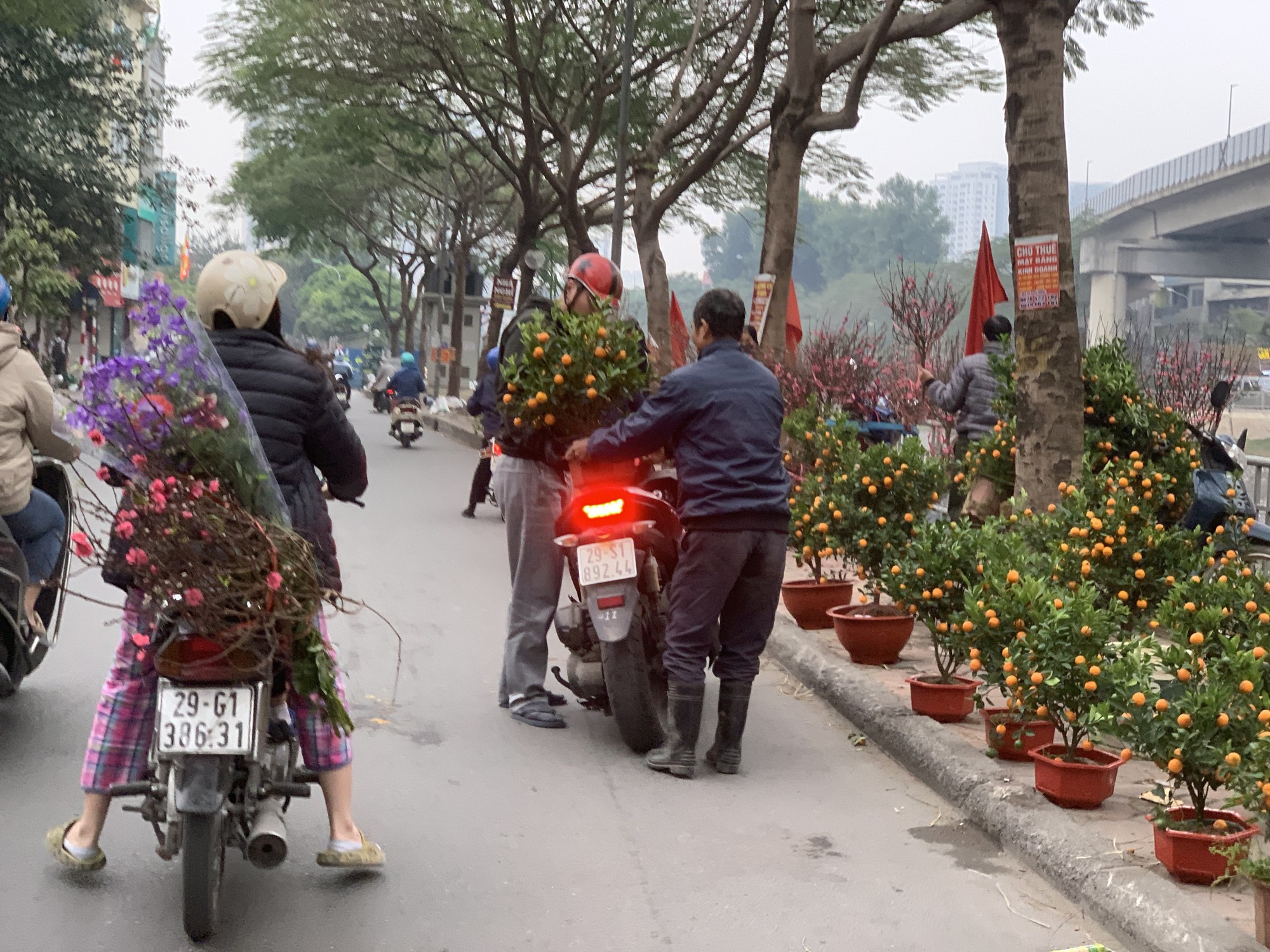 Những cành đào 'mua vội' chiều 29 Tết - Ảnh 4.