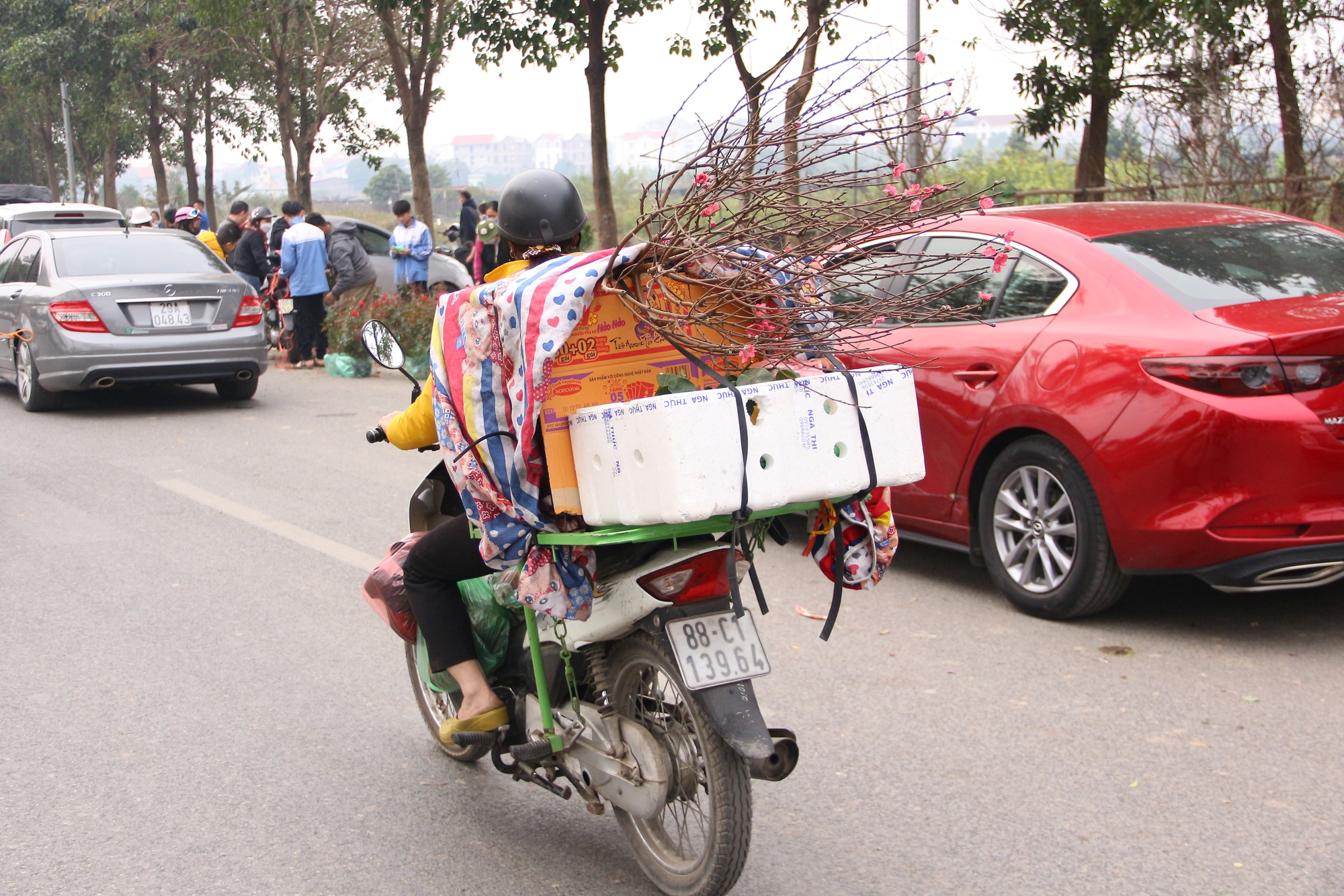 Những cành đào 'mua vội' chiều 29 Tết - Ảnh 3.