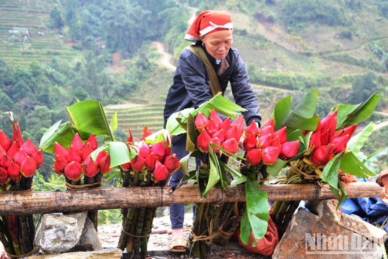 Rộn rã chợ phiên vùng cao ngày Tết - Ảnh 14.