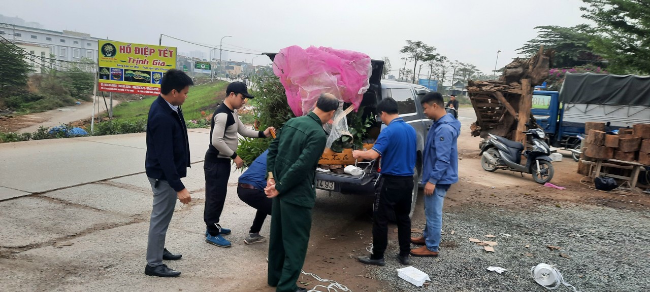 Xuân về trong sắc thắm hoa lan - Ảnh 3.