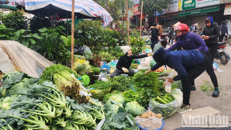 Độc đáo phiên chợ bún một năm chỉ có một lần vào mùng 3 Tết - Ảnh 3.