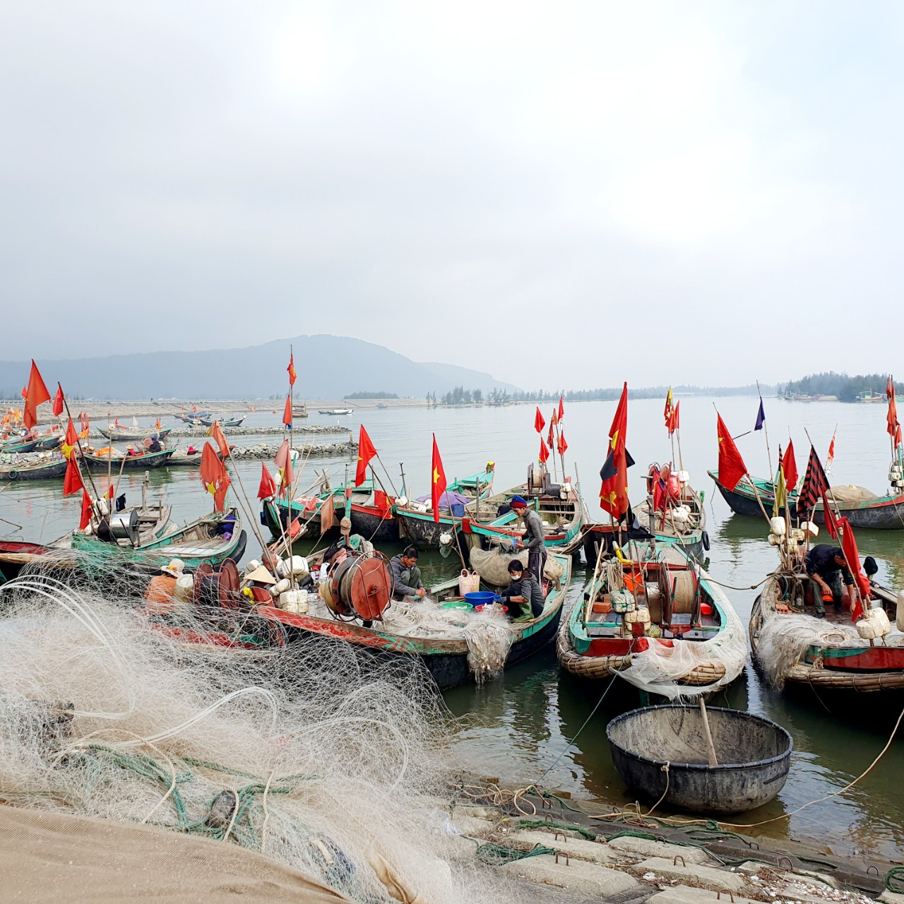 Ngư dân Hà Tĩnh trúng &quot;lộc biển&quot; đầu năm - Ảnh 2.