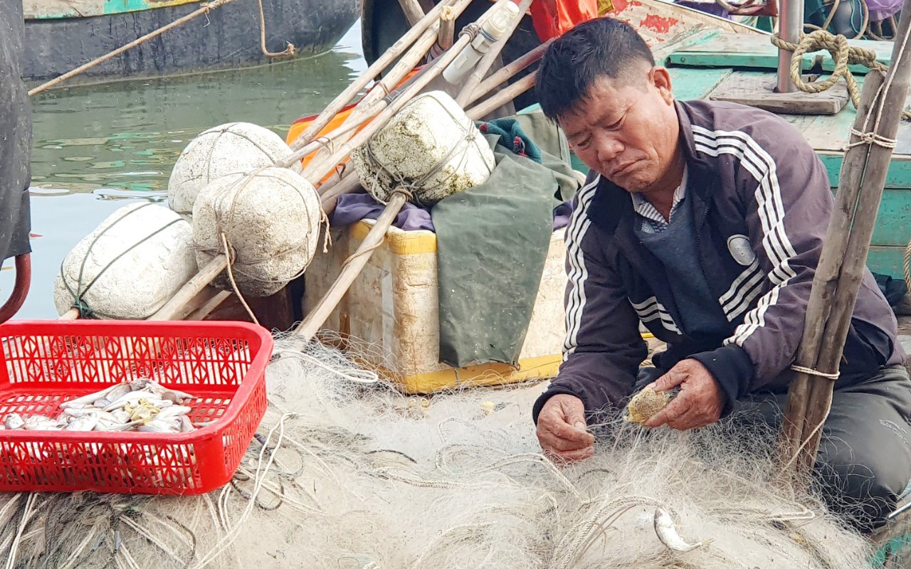 Ngư dân Hà Tĩnh đón 'lộc biển' sau chuyến ra khơi đầu năm