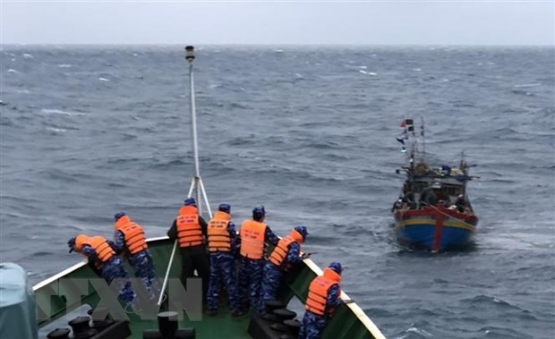 Vụ chìm tàu cá trên biển Bình Thuận: Đã cứu sống được 3 thuyền viên - Ảnh 1.