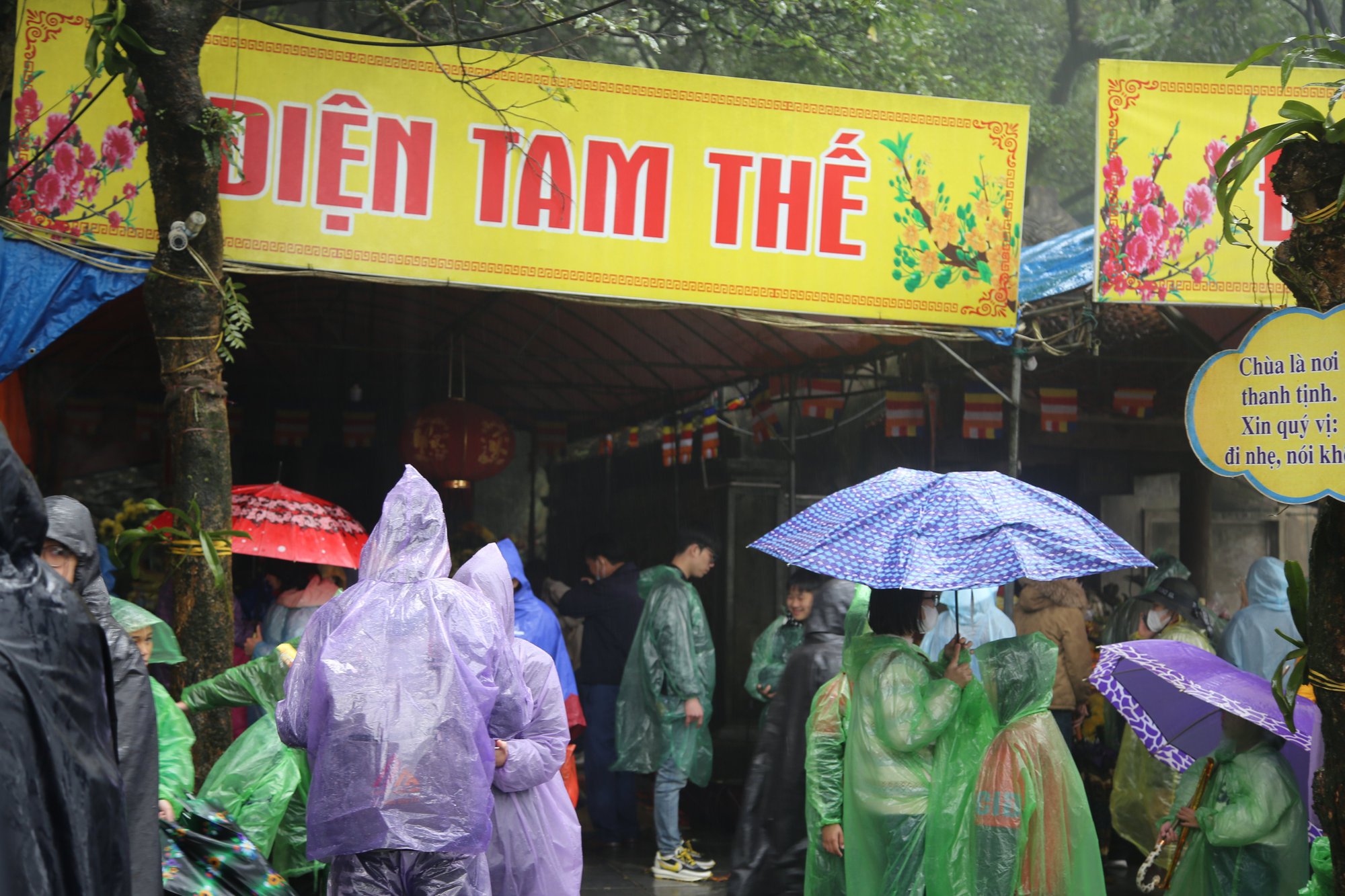 Mưa rét, hàng ngàn người vẫn đổ về chùa Hương Tích vãn cảnh đầu năm - Ảnh 7.