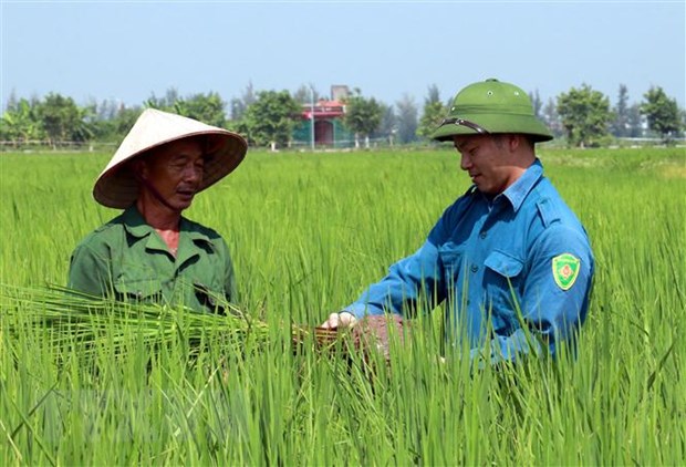 Một số chính sách mới nổi bật sẽ có hiệu lực trong tháng 2 - Ảnh 2.