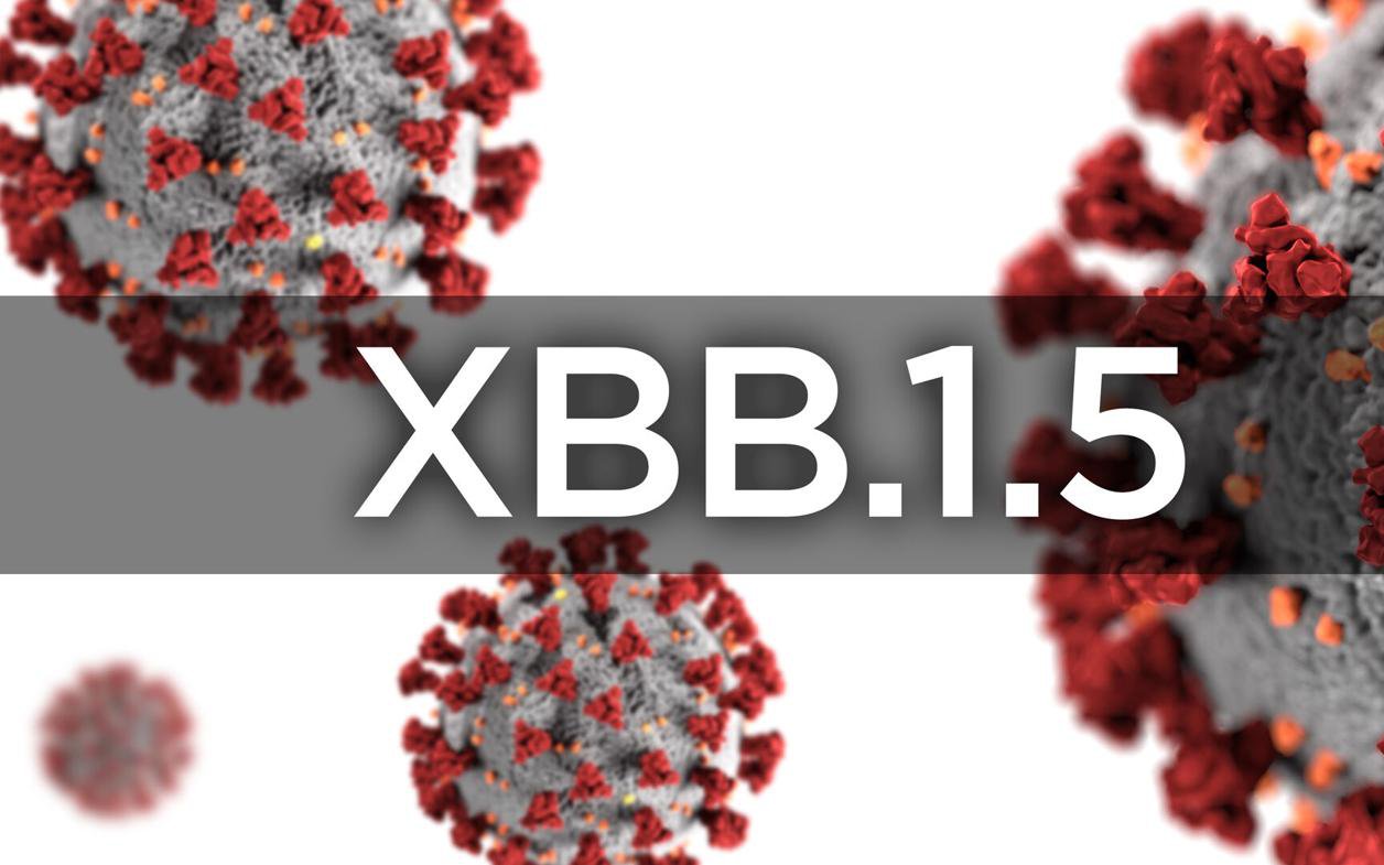 Làm thế nào để biết bạn nhiễm biến thể XBB, XBB.1.5 hay BA.5?