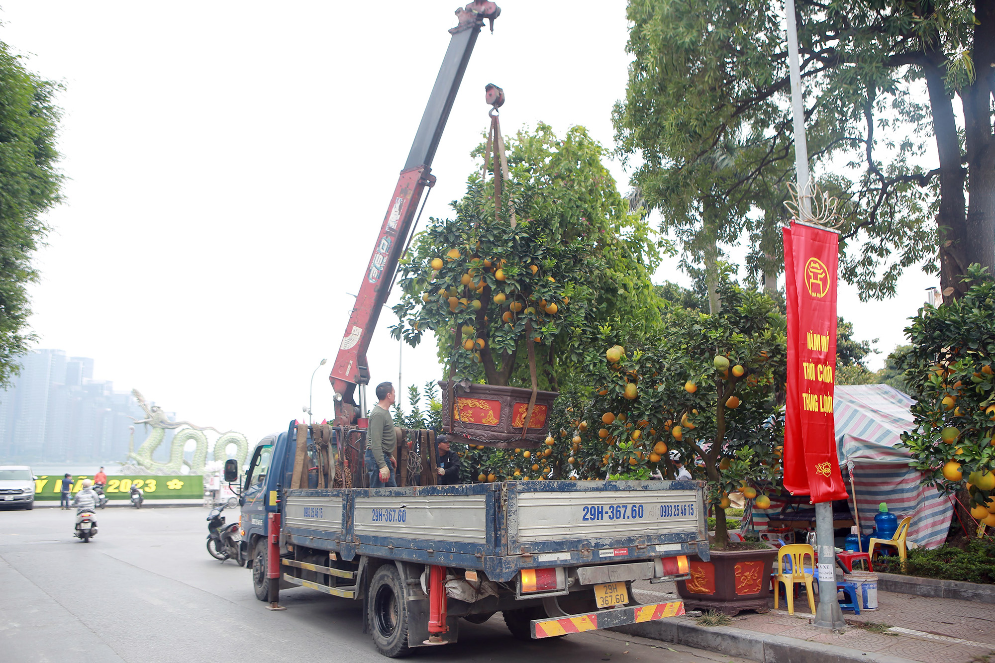 Hà Nội: Trả 90 triệu một gốc bưởi 'cổ' để chơi Tết Quý Mão, tiểu thương nhất quyết không bán - Ảnh 8.