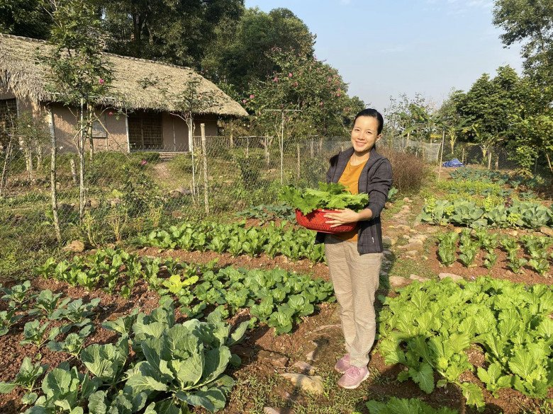 Cựu MC nhiều con nhất nhì nhà đài VTV khoe vườn rau tự trồng, cảnh tỉnh những ai muốn “bỏ phố về rừng” - Ảnh 2.