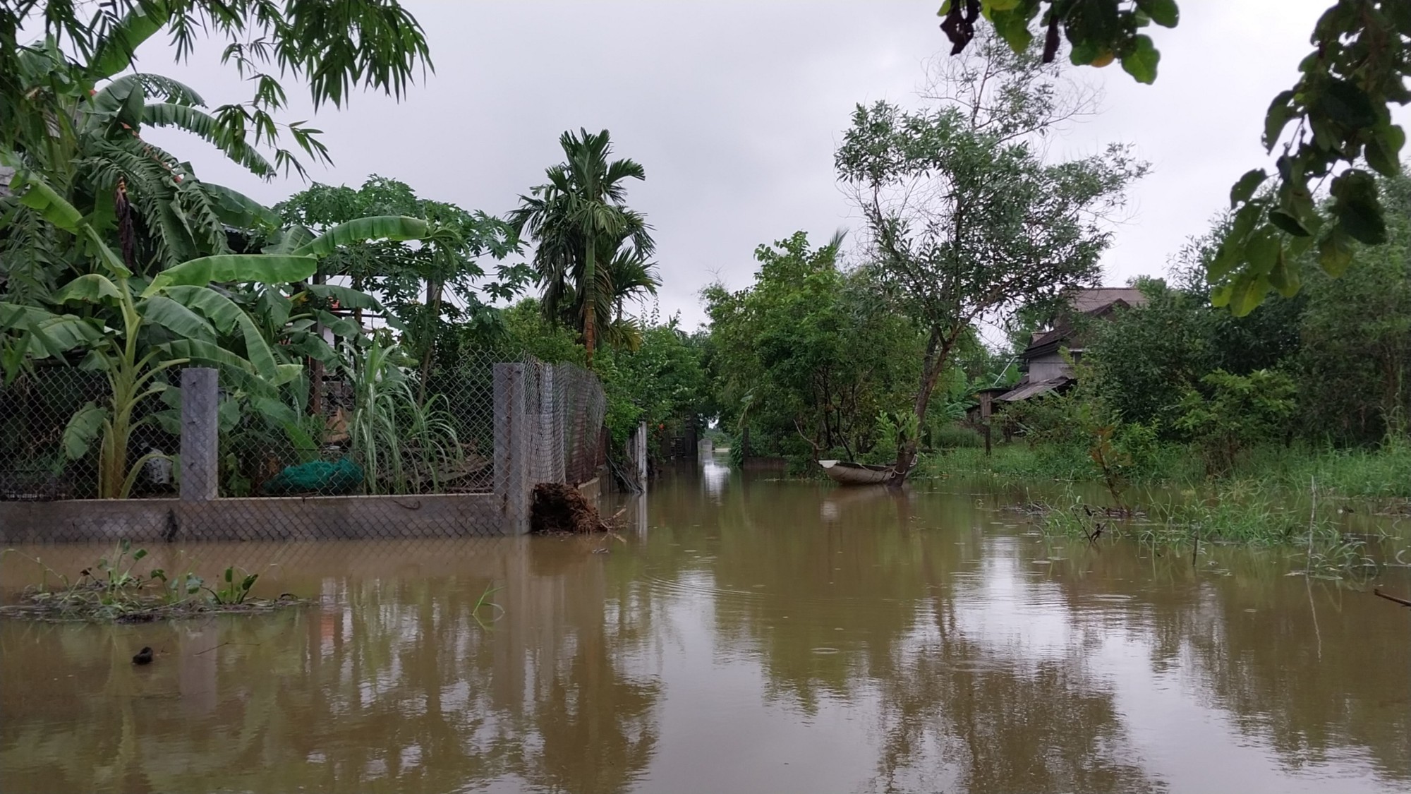 Thừa Thiên Huế mưa lớn, nhiều nơi ngập lụt, hàng nghìn hộ dân mất điện - Ảnh 2.