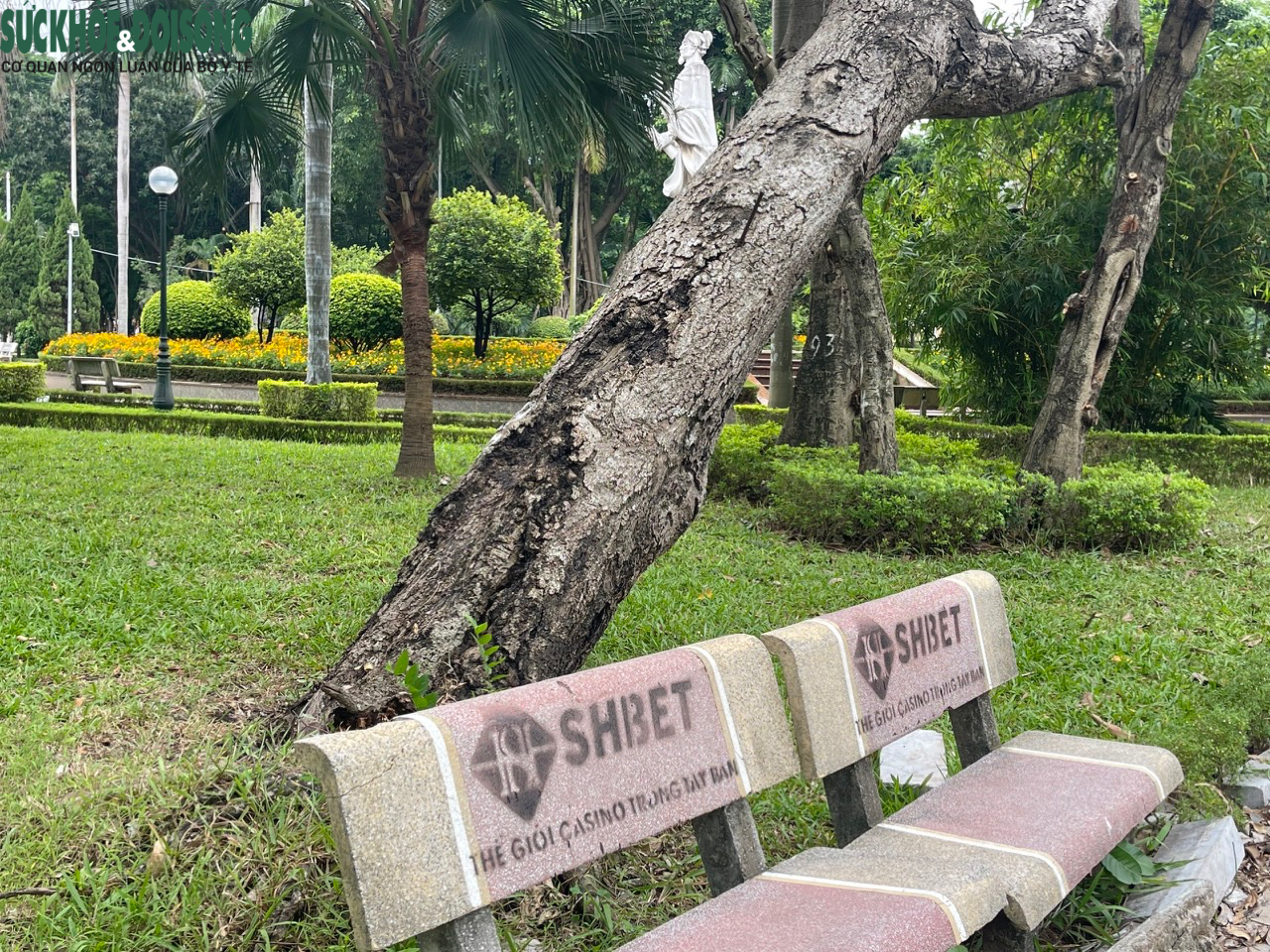 Hàng loạt ghế đá tại vườn hoa Nguyễn Trãi bị xịt sơn quảng cáo web cờ bạc - Ảnh 6.