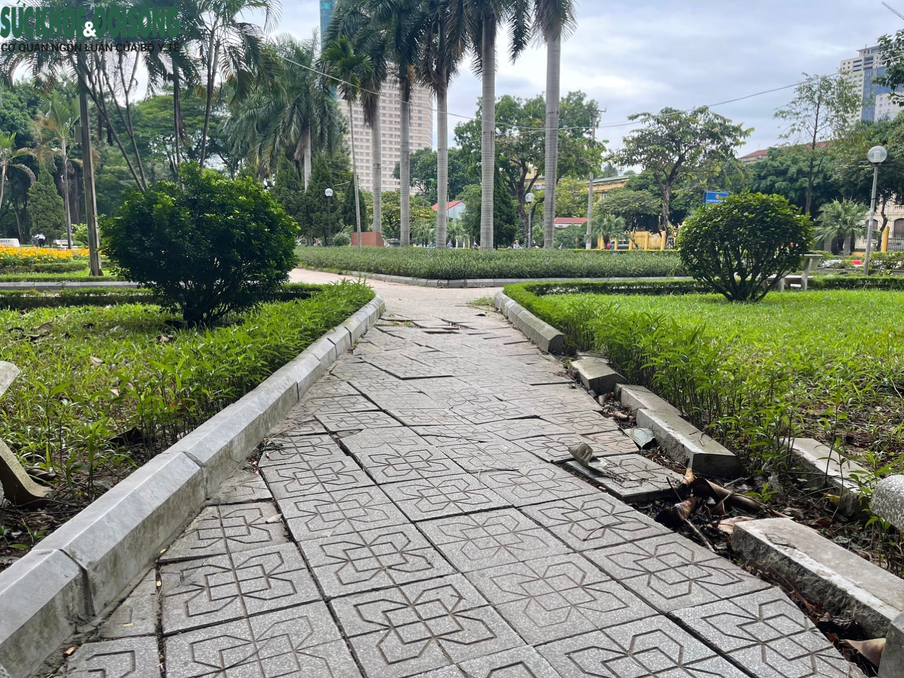 Hàng loạt ghế đá tại vườn hoa Nguyễn Trãi bị xịt sơn quảng cáo web cờ bạc - Ảnh 9.