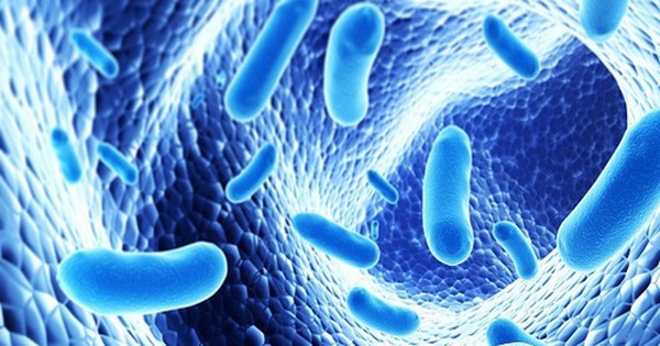 Probiotic có thể giúp giảm cân và mỡ bụng như thế nào? - Ảnh 4.