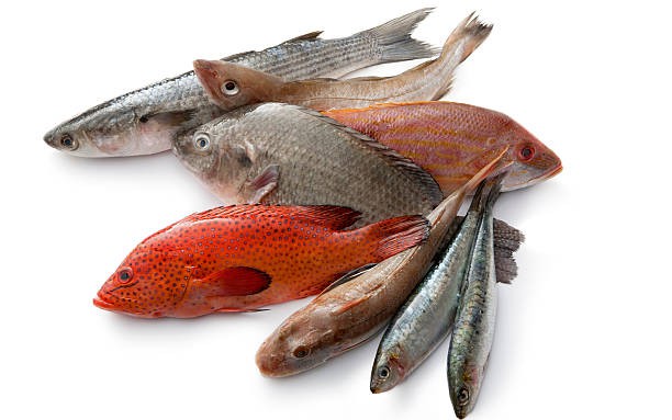 2 loại cá rẻ tiền chứa nhiều collagen chống lão hóa