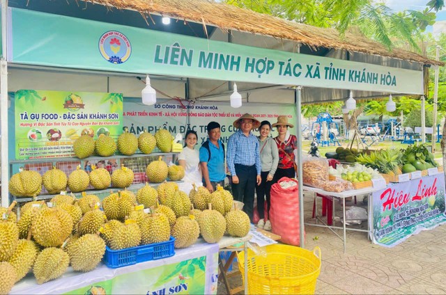 Khánh Hòa đẩy mạnh thu hút đầu tư vùng đồng bào dân tộc thiểu số- Ảnh 1.