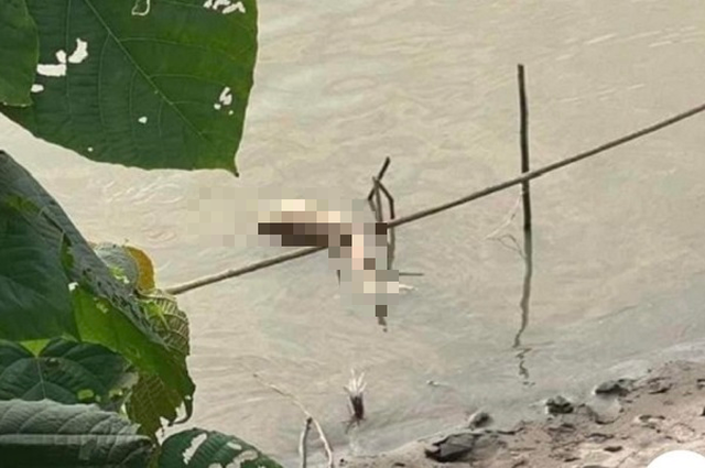 Công an Hà Nội chính thức thông tin về vụ cô gái bị giết, phân xác xuống sông Hồng - Ảnh 1.