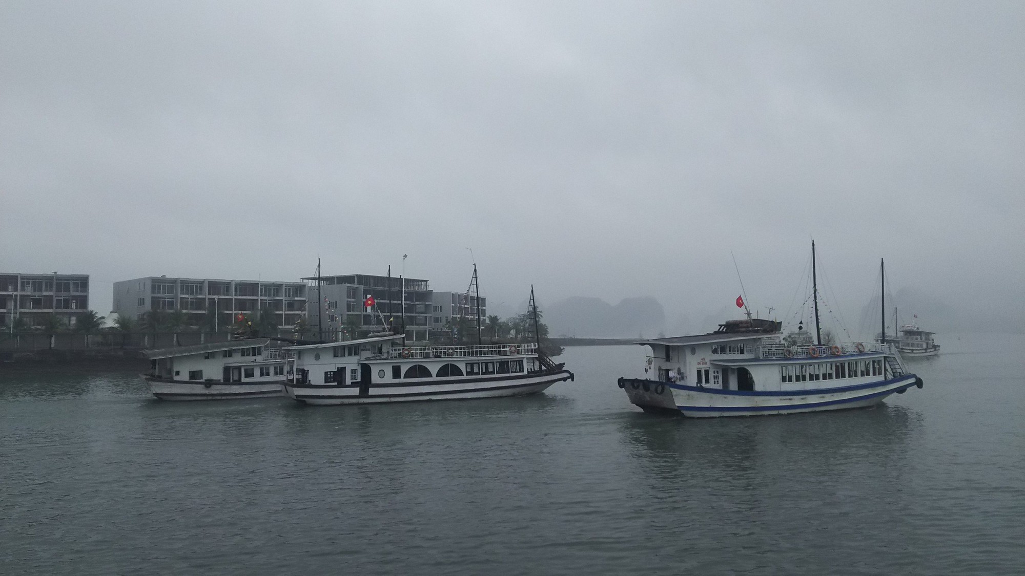 Quảng Ninh tạm dừng cấp phép phương tiện thủy ra khơi từ 15h ngày 19/10 - Ảnh 1.