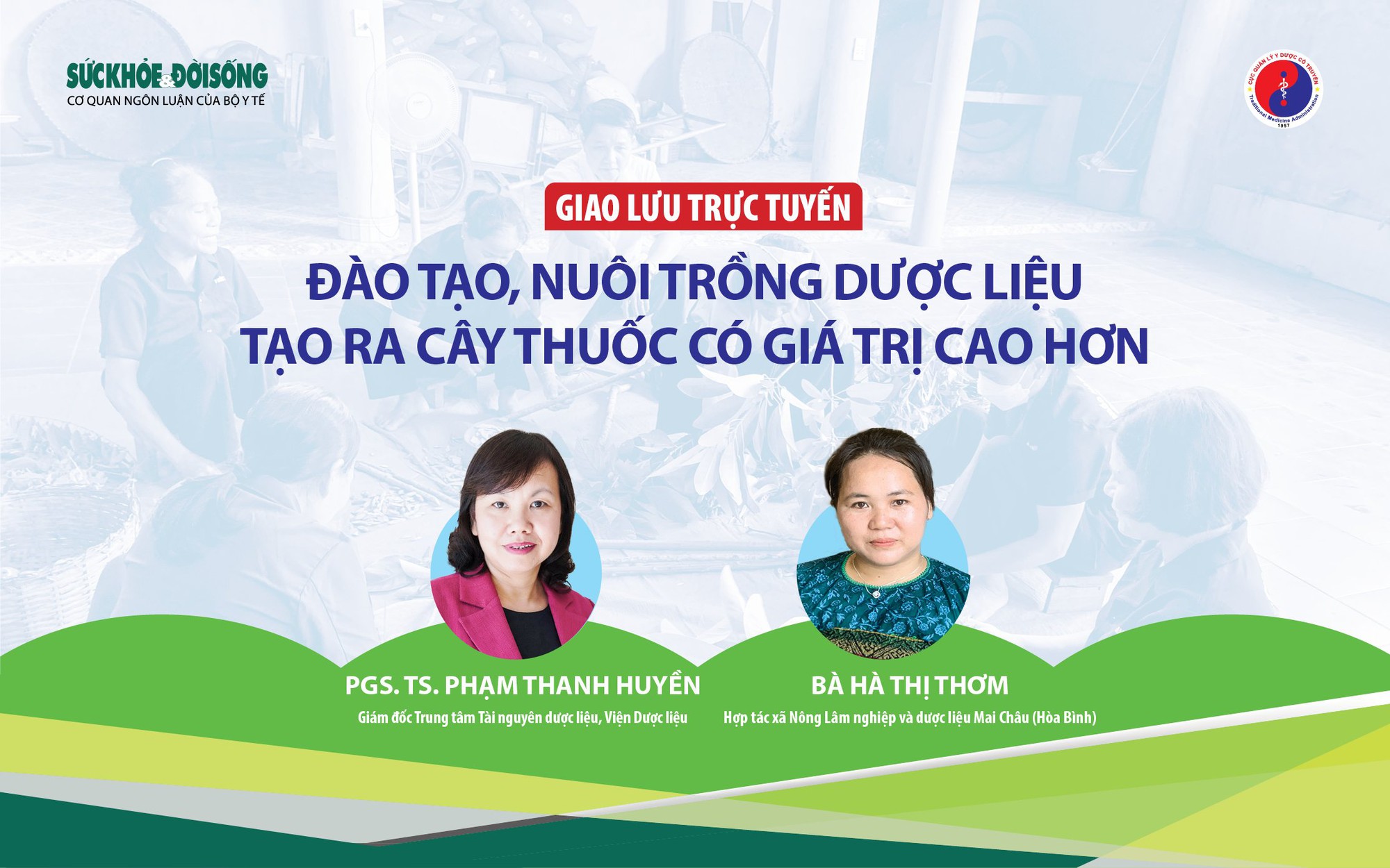 Giao lưu trực tuyến: Đào tạo, nuôi trồng dược liệu tạo ra cây thuốc có giá trị cao hơn