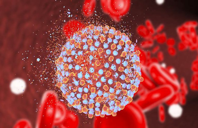 Quản lý viêm gan B ở bệnh nhân HIV - Ảnh 1.