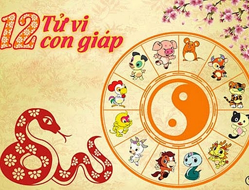 Tử vi 12 con giáp hôm nay 5/10: Tý như ý, Sửu rắc rối - Ảnh 2.