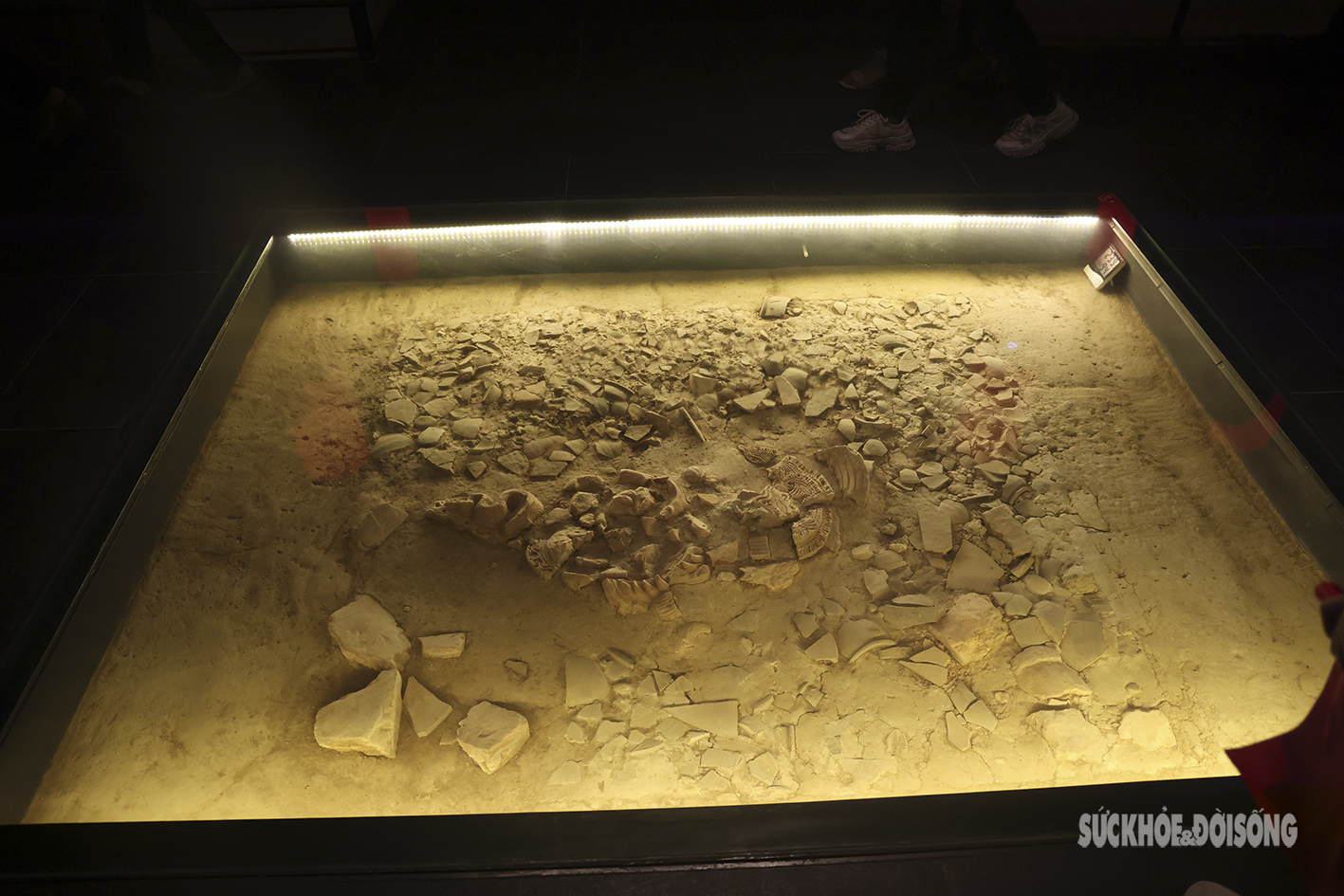 Ấn tượng bảo tàng cổ vật Thăng Long dưới lòng nhà Quốc hội - Ảnh 4.