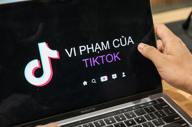 Kiểm tra TikTok tại Việt Nam: Mạng xã hội này vi phạm những gì? - Ảnh 1.