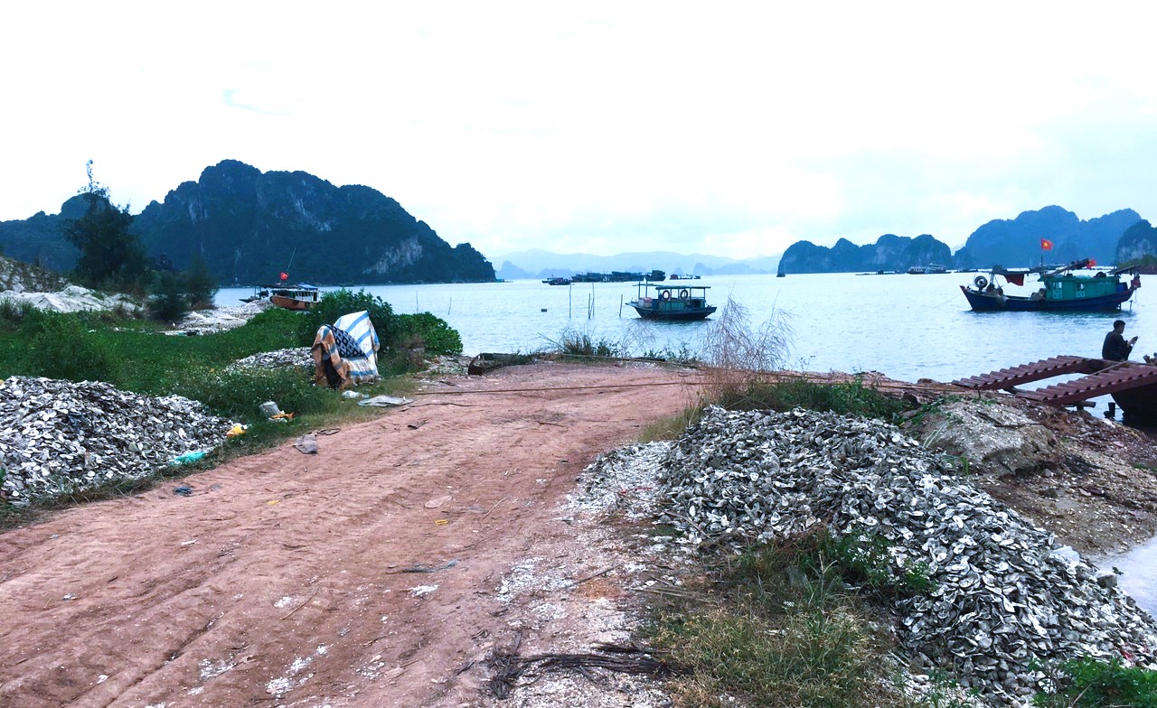 Quảng Ninh: Nghẹt thở vì bị những bãi thải vỏ hàu tấn công - Ảnh 3.