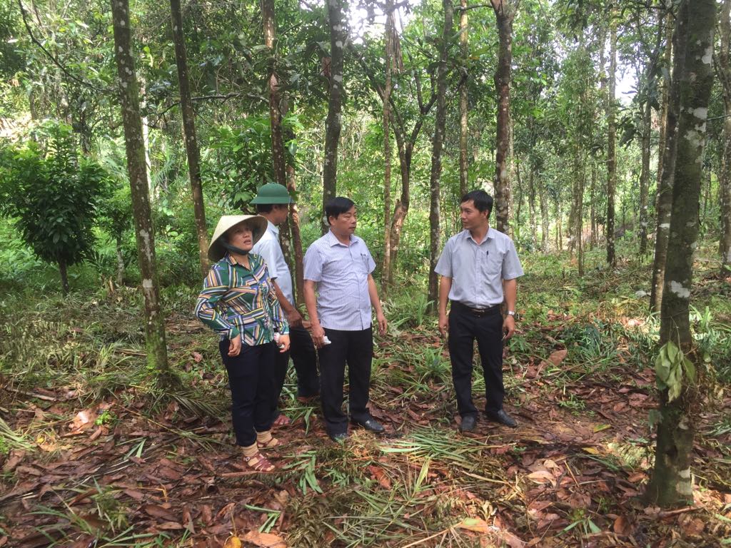 Mô hình lấy ngắn nuôi dài trong trồng cây dược liệu: Một cách làm hay cần nhân rộng- Ảnh 2.