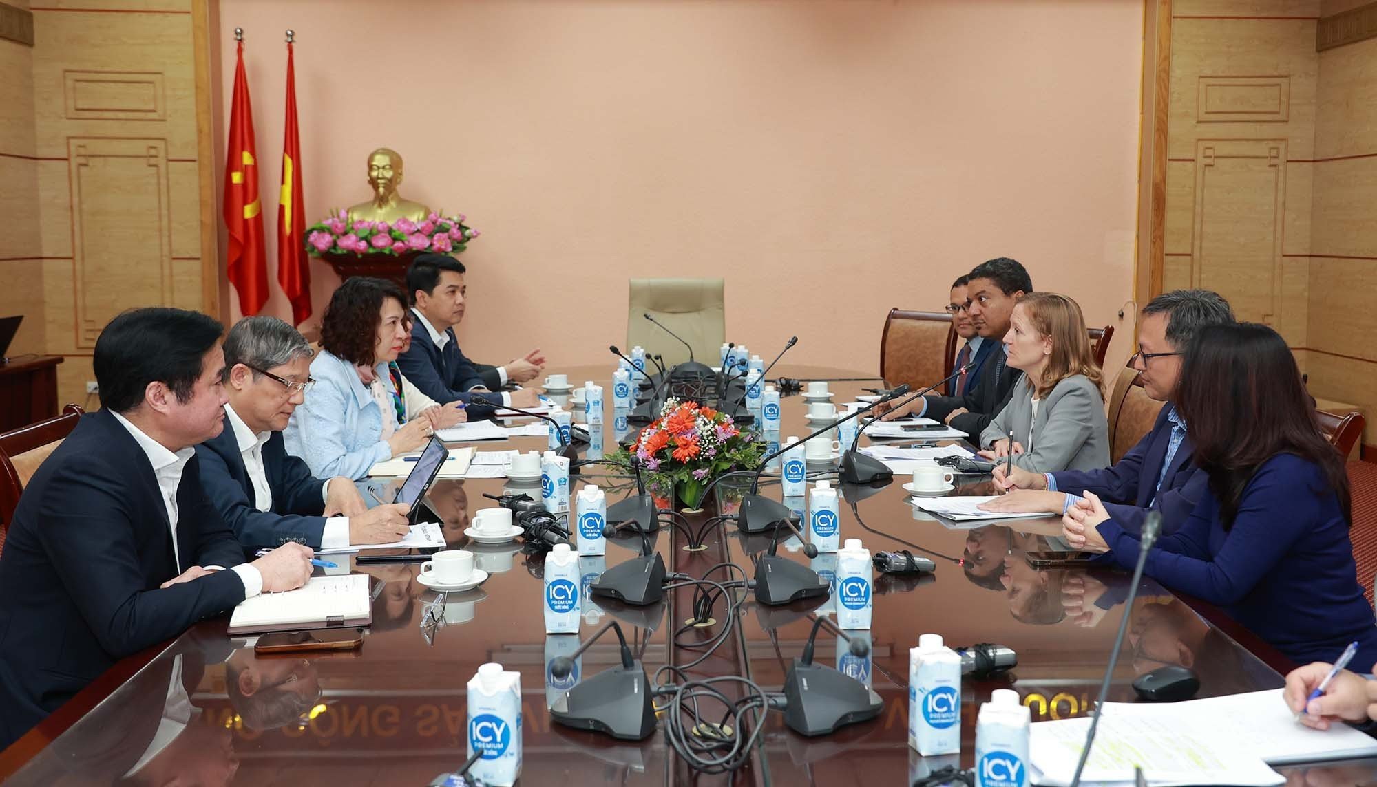 Thứ trưởng Bộ Y tế Nguyễn Thị Liên Hương tiếp Giám Đốc Quốc gia USAID - Ảnh 3.