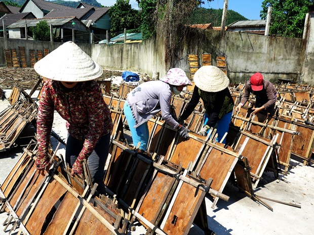 Tìm giải pháp mở rộng thị trường xuất khẩu dược liệu Việt Nam- Ảnh 2.