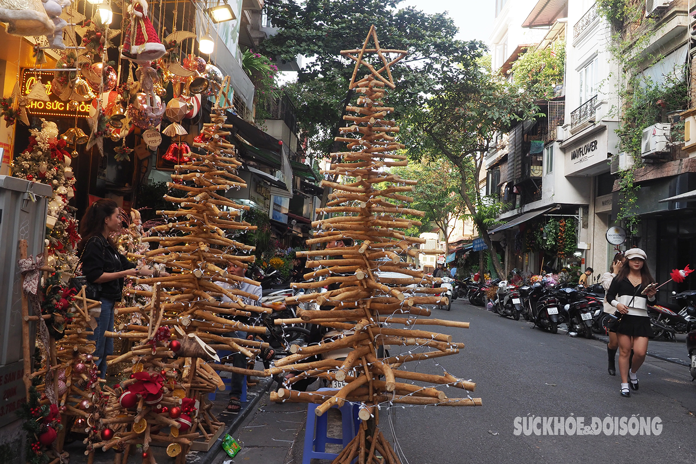 Xuất hiện cây thông Noel 'khủng' làm bằng quế trên phố cổ- Ảnh 4.