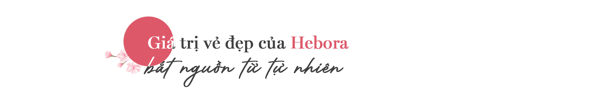 6 năm theo đuổi triết lý ‘hoàn hảo’ của  thương hiệu chăm sóc sức khỏe, sắc đẹp tới từ Nhật Bản- Ảnh 3.