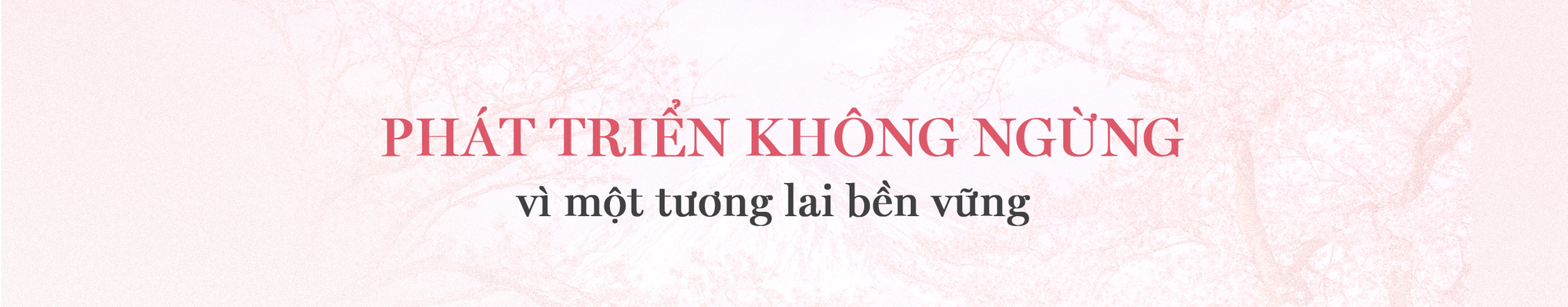 6 năm theo đuổi triết lý ‘hoàn hảo’ của  thương hiệu chăm sóc sức khỏe, sắc đẹp tới từ Nhật Bản- Ảnh 7.