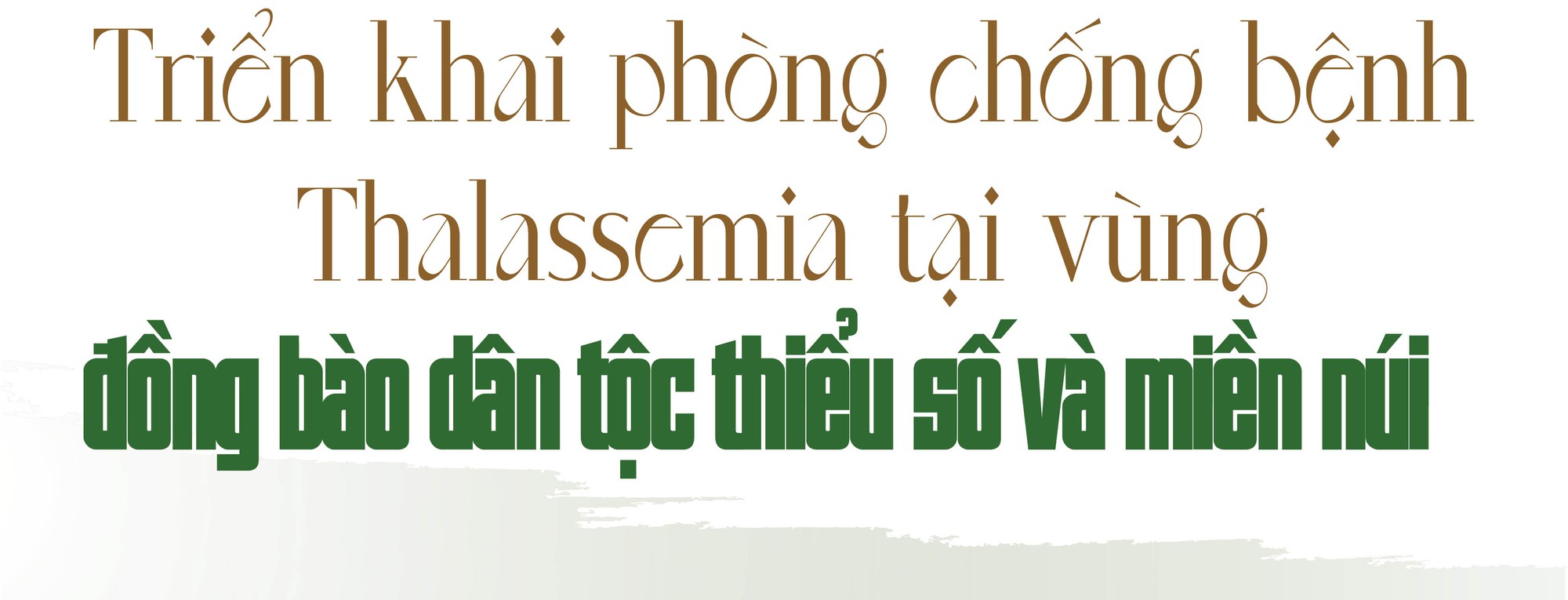 Nguồn lực từ Chương trình Mục tiêu Quốc gia 1719 tiếp sức đẩy lùi bệnh Thalassemia- Ảnh 8.