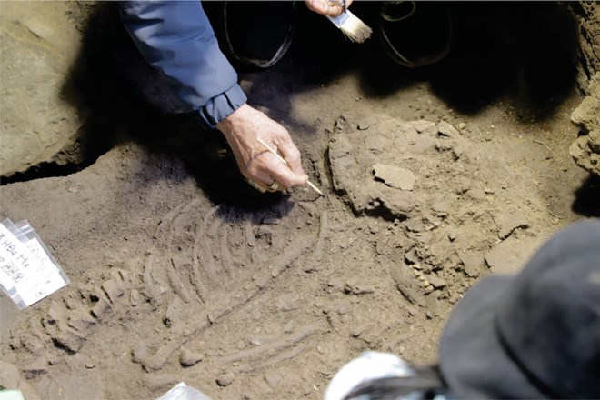 Có gì lạ ở di cốt của người niên đại 10.000 năm trước tại Hà Nam? - Ảnh 2.