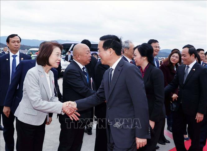 Chủ tịch nước và Phu nhân kết thúc tốt đẹp chuyến thăm chính thức Nhật Bản- Ảnh 3.