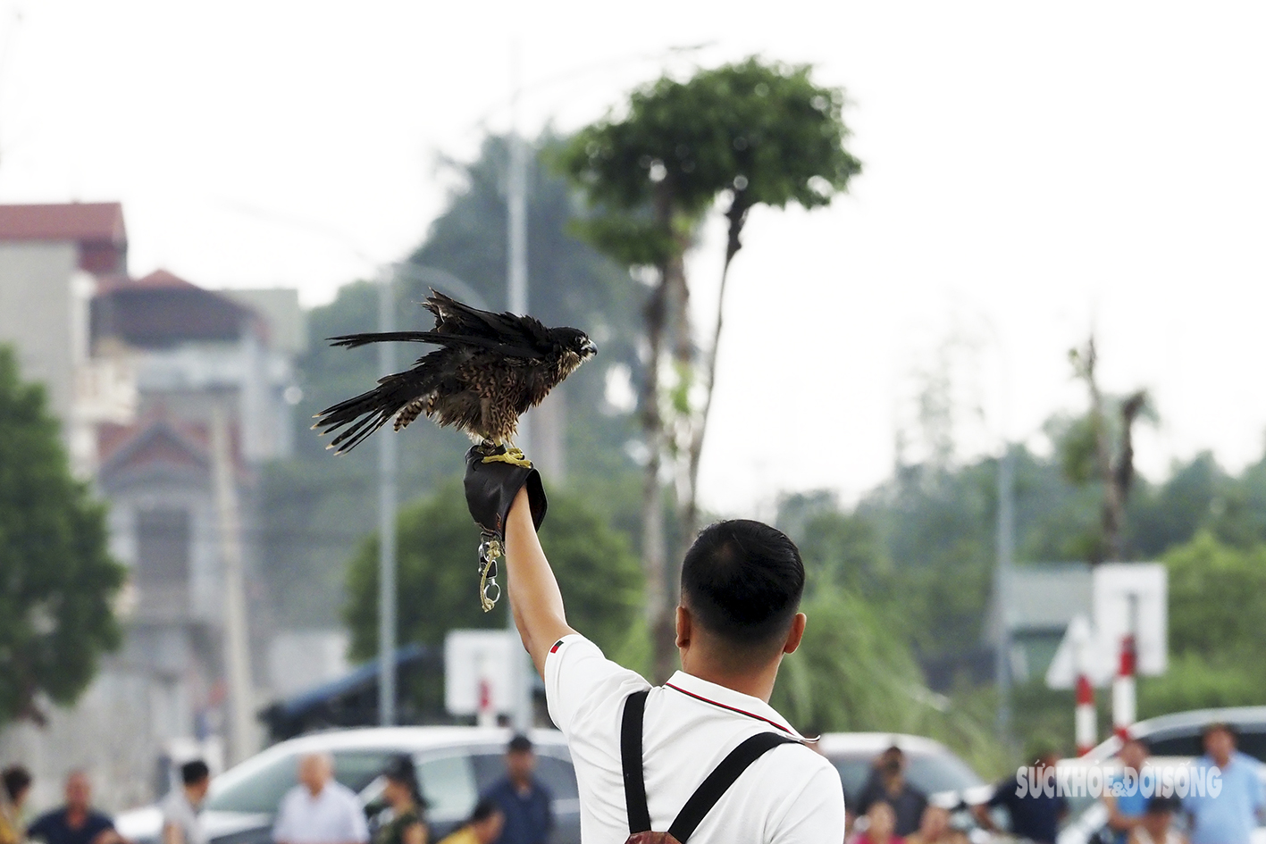 Mãn nhãn với sải cánh của 'chúa tể bầu trời' - Ảnh 19.