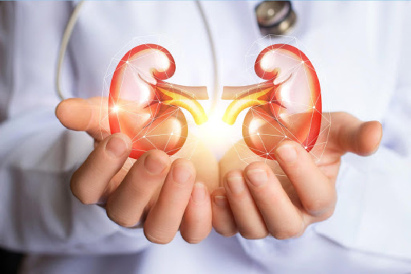 Lần đầu tiên Đại hội đồng Y tế thế giới thông qua các nghị quyết về sức khỏe phổi và sức khỏe thận- Ảnh 2.