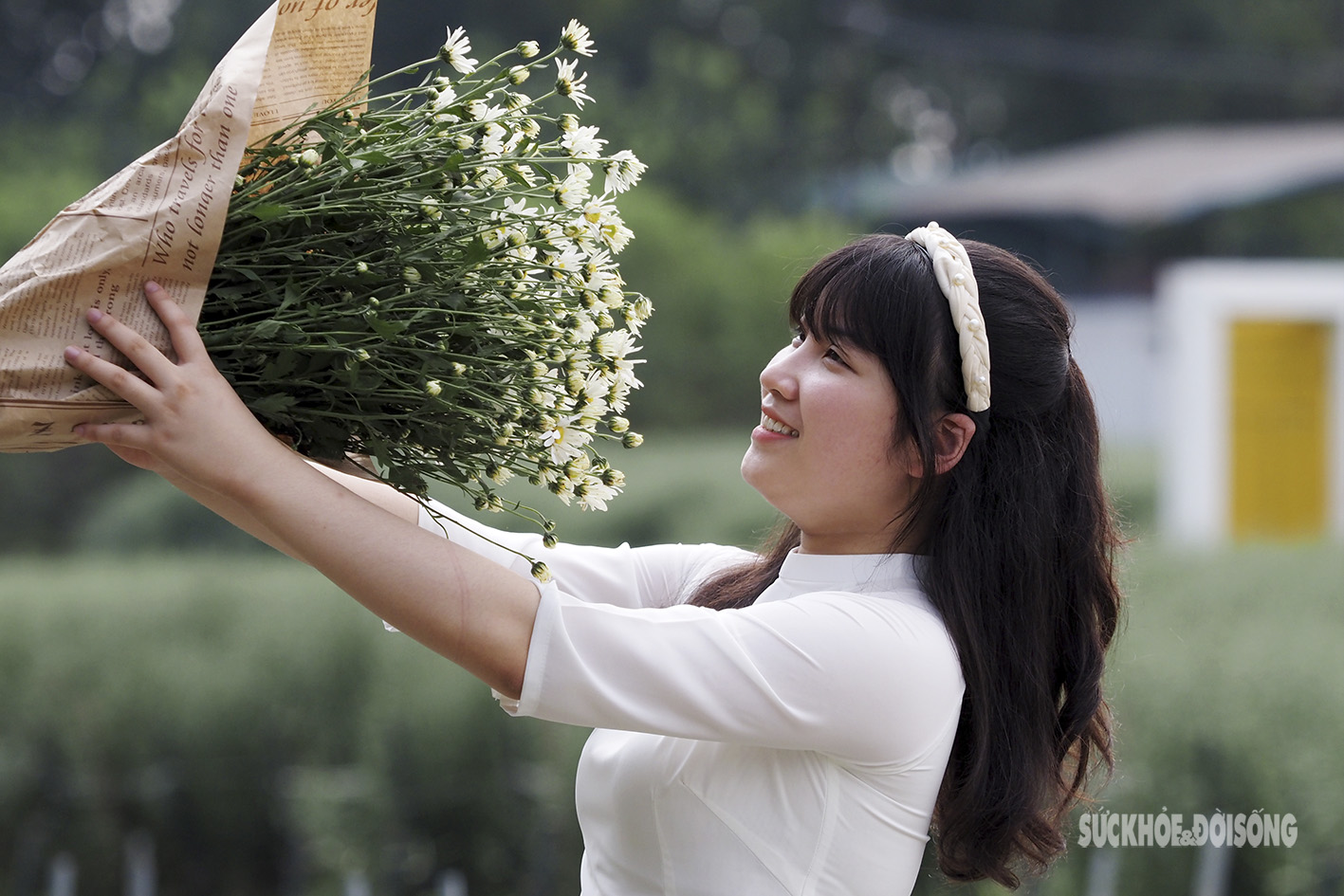 Thiếu nữ Hà thành dịu dàng cùng cúc họa mi trong nắng đông - Ảnh 14.