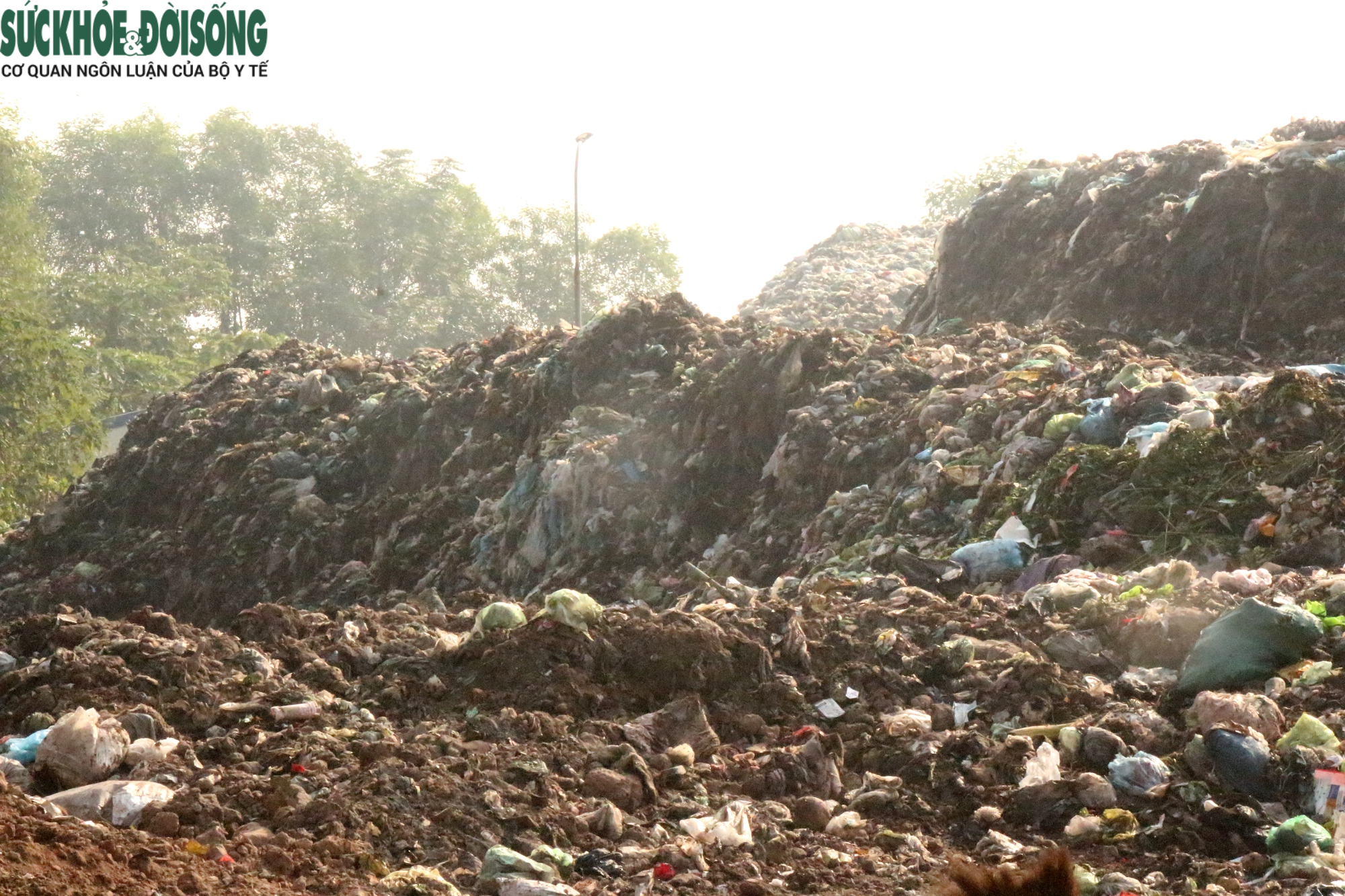 Vì sao hàng nghìn tấn rác thải chất cao như núi ở Hải Phòng chưa được xử lý?- Ảnh 2.