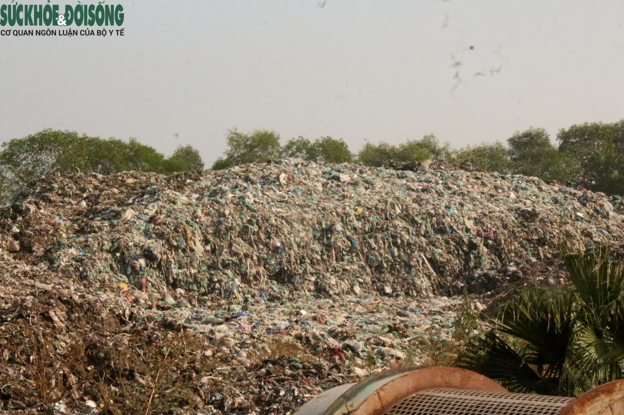 Vì sao hàng nghìn tấn rác thải chất cao như núi ở Hải Phòng chưa được xử lý?- Ảnh 4.