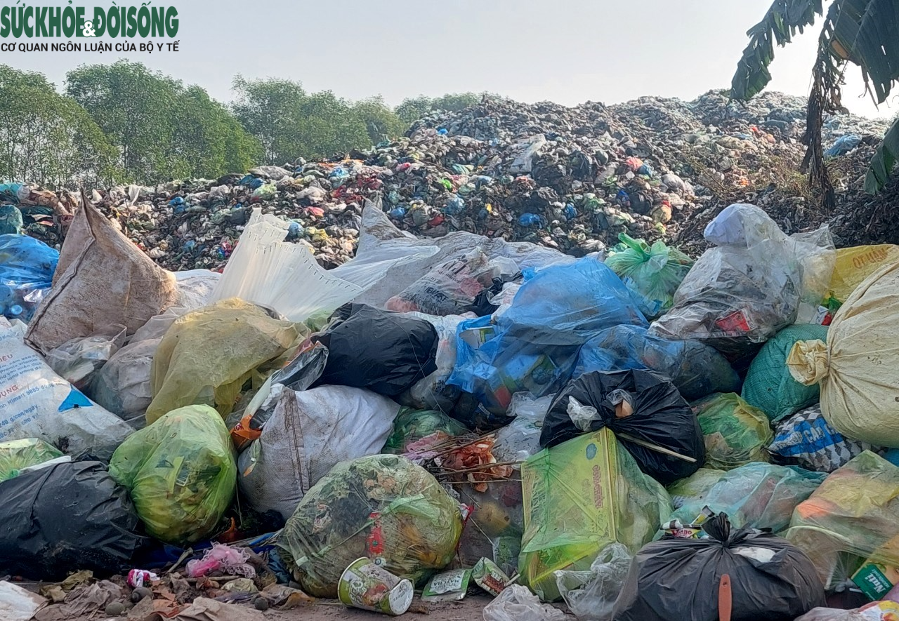 Vì sao hàng nghìn tấn rác thải chất cao như núi ở Hải Phòng chưa được xử lý?- Ảnh 5.