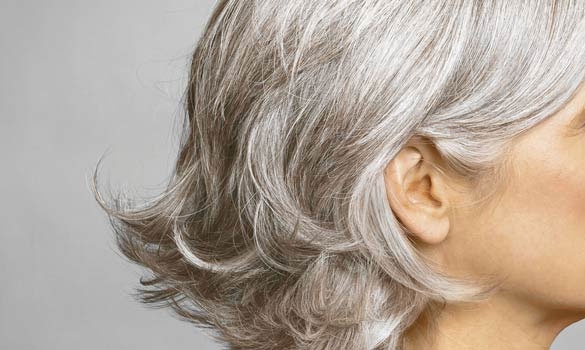 Collagen có cải thiện mái tóc mỏng, tóc bạc không?- Ảnh 3.