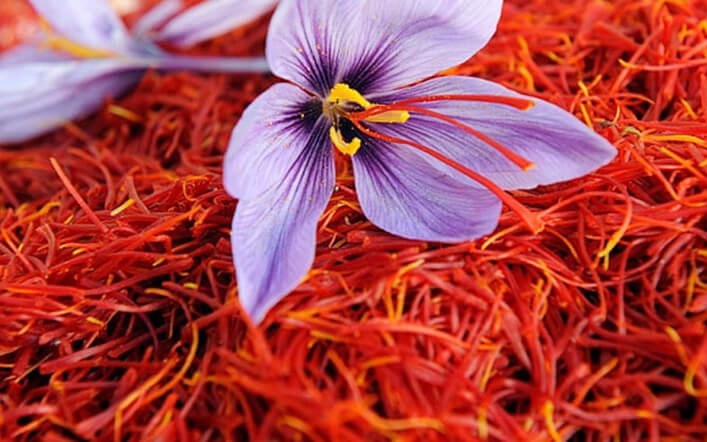 Lạm dụng saffron - nhụy hoa nghệ tây nguy hiểm như thế nào?