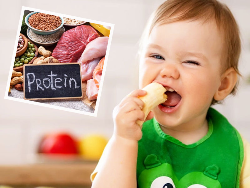 Suy dinh dưỡng do thiếu hụt protein - năng lượng ở trẻ em- Ảnh 2.