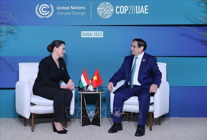 Thủ tướng Phạm Minh Chính gặp lãnh đạo các nước, tổ chức quốc tế nhân dịp dự COP28- Ảnh 2.