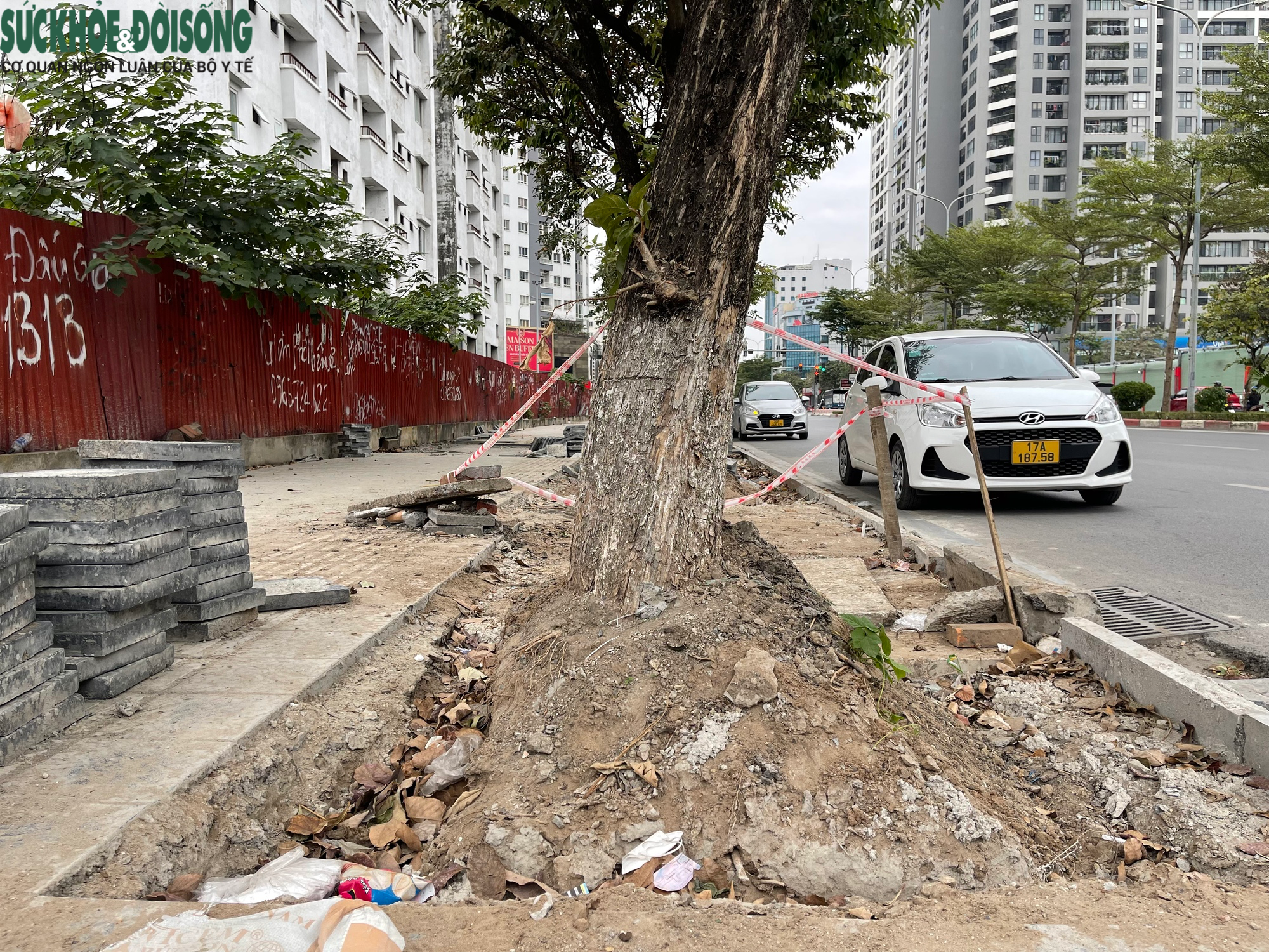 Hàng loạt gốc cây trồi lên mặt đất trên đường Trần Thái Tông, Hà Nội- Ảnh 6.