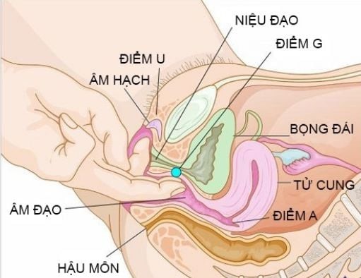 Những sai lầm khi dùng thuốc đặt âm đạo- Ảnh 1.