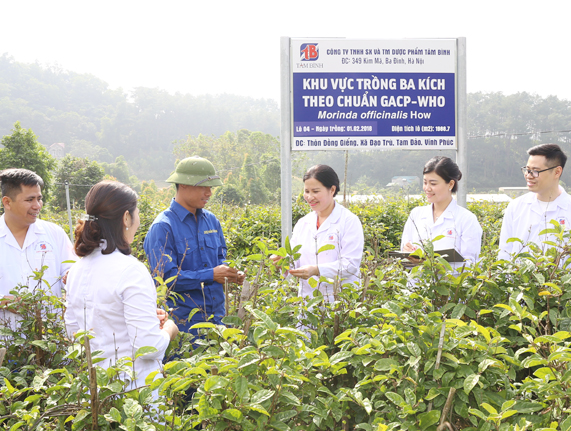 Phát triển kinh doanh gắn liền với trách nhiệm xã hội- Ảnh 1.